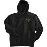 Delaware Jr. Blue Hens Ultimate Cotton - Pullover Hooded Sweatshirt